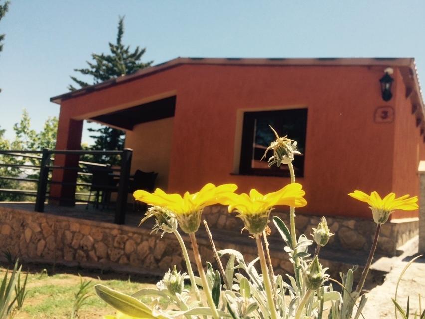 Ferienwohnung Complejo Turistico El Sur Ronda Zimmer foto